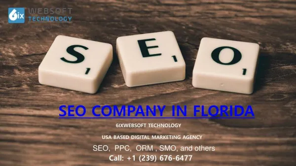 SEO Company in Florida