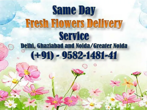 Same Day Fresh Flowers Delivery in Delhi | 9582-1481-41