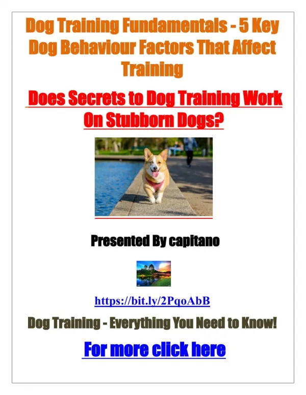 Dog training fundamentals- 5 key dog behaviour factors that affect training-puppy training