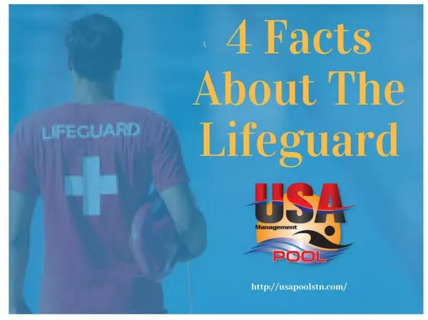 4 Facts About The Lifeguard