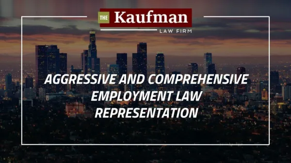 Aggressive and Comprehensive Employment Law Representation