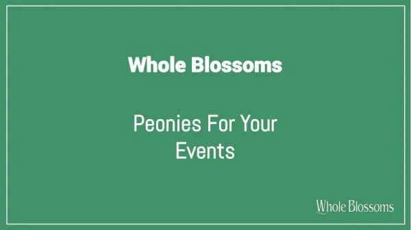Get Wholesale Peonies Flowers for Sale in Bulk