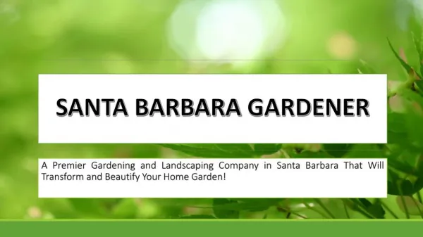 Santa Barbara Best Garden Irrigation System