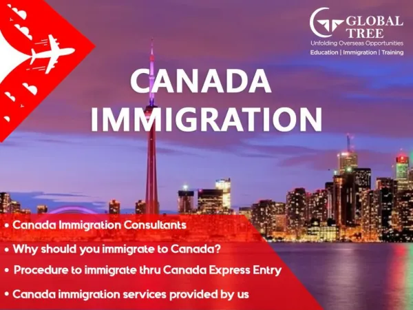 Canada Immigration Consultant | Immigration Process for Canada - Global Tree, India
