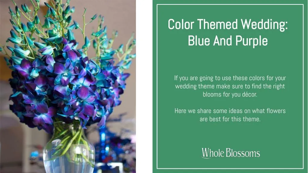 color themed wedding blue and purple