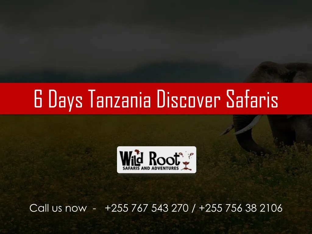 6 days tanzania discover safaris