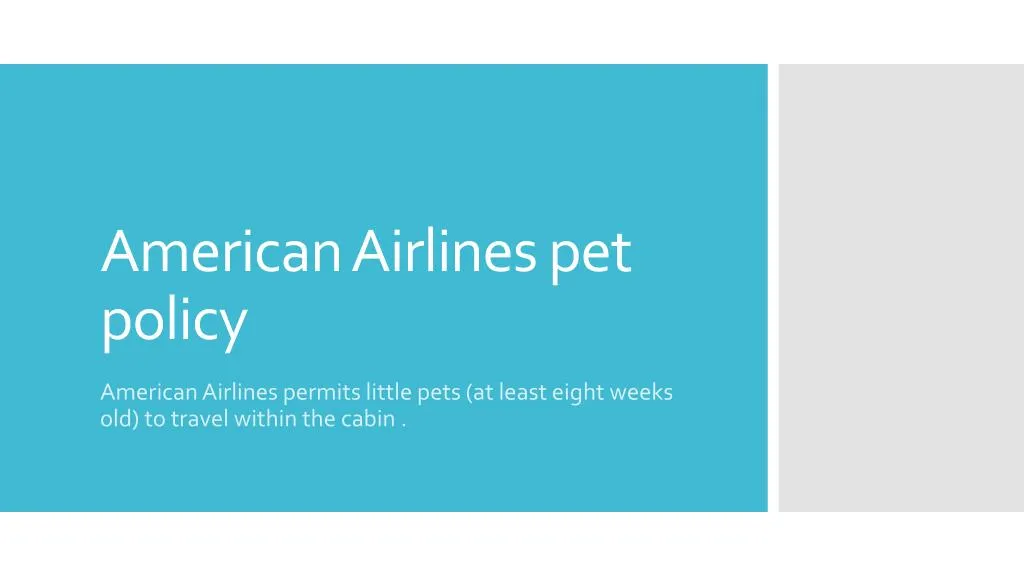 american airlines pet policy