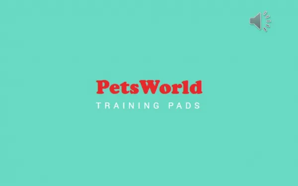Pet Worlds Training Pad