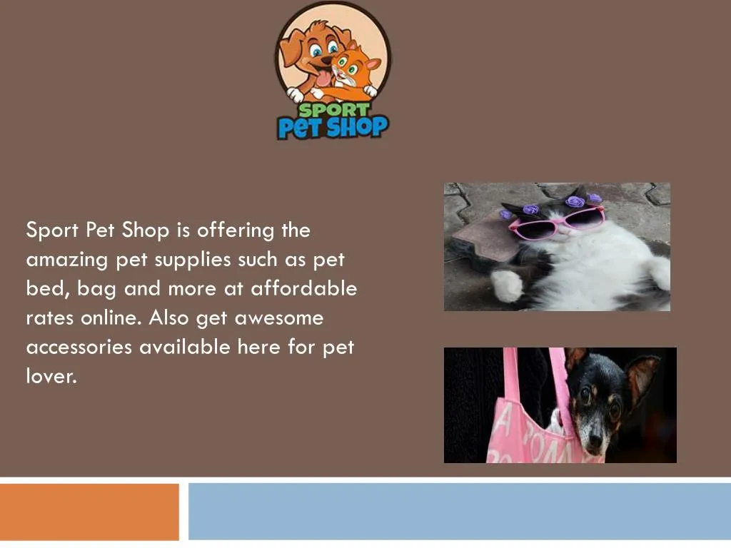 sport pet shop is offering the amazing