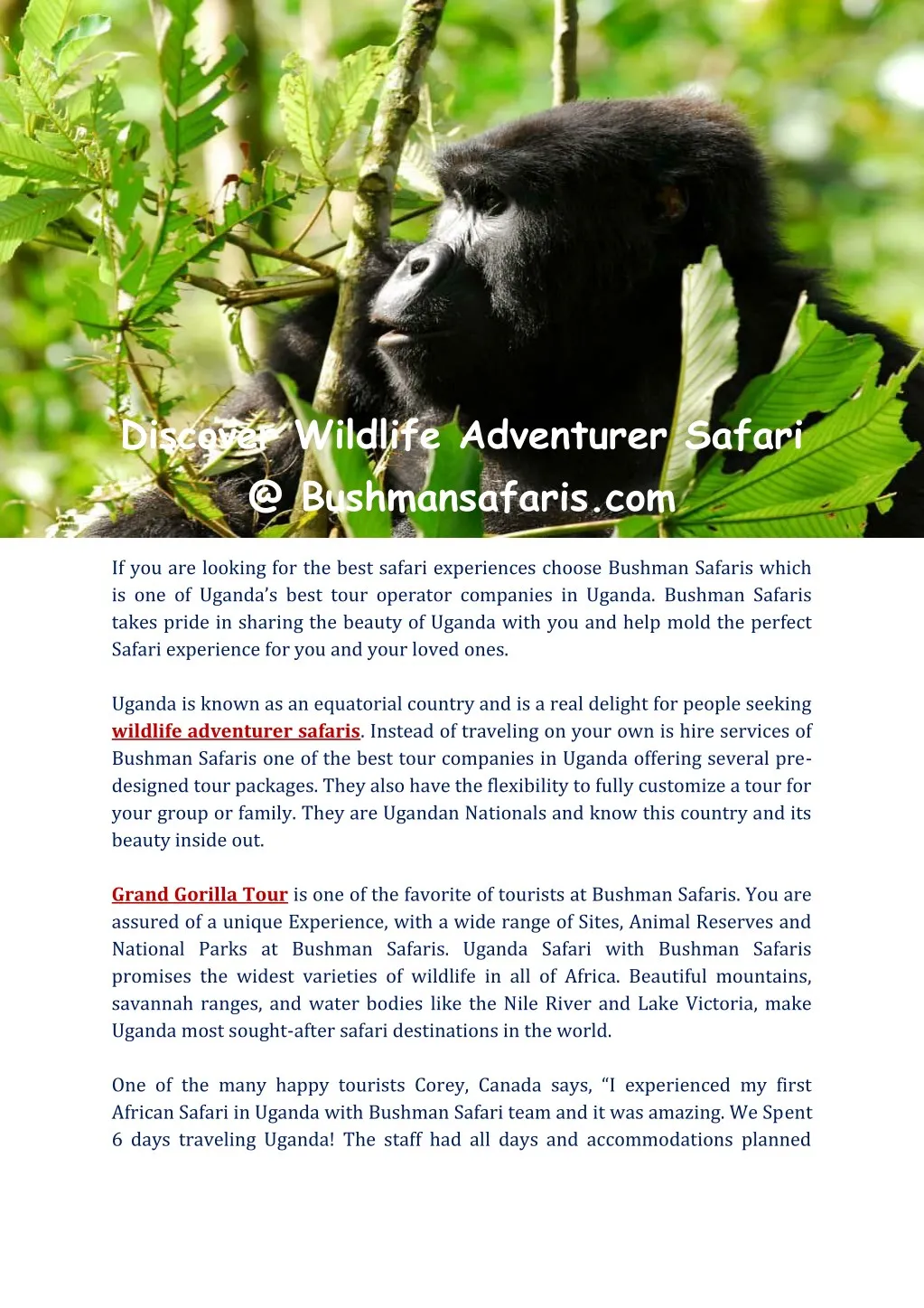 discover wildlife adventurer safari