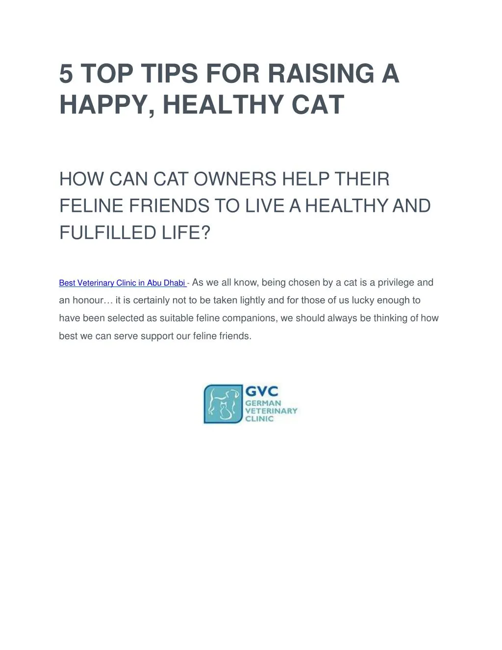 5 top tips for raising a happy healthy cat