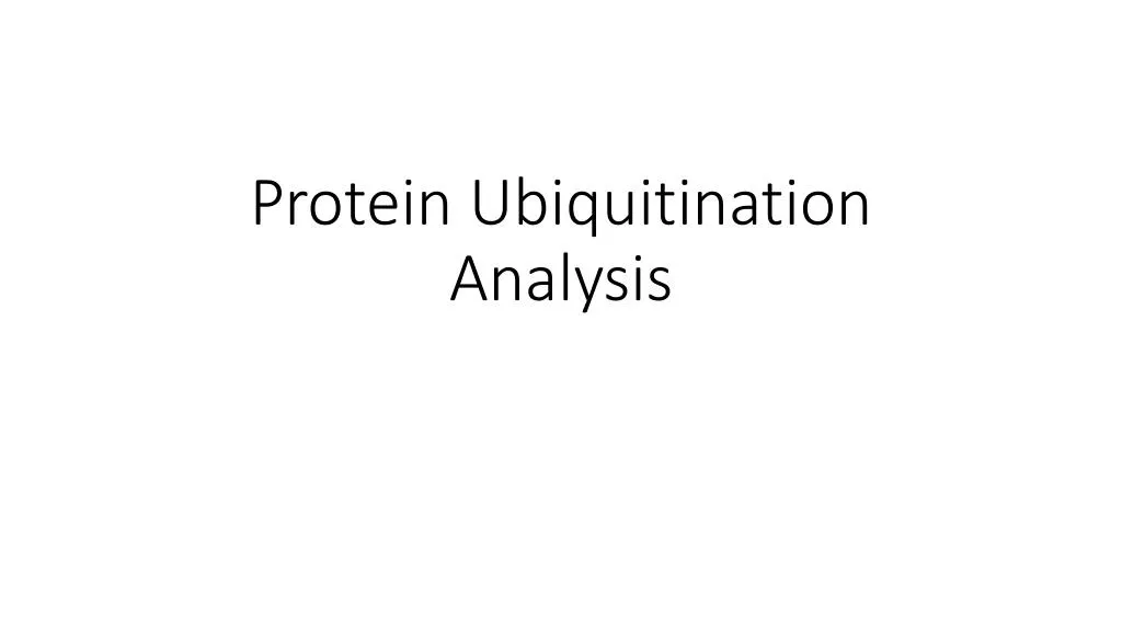 protein ubiquitination analysis