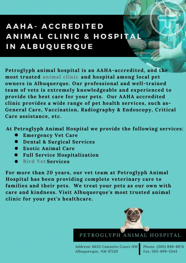 AAHA- Accredited Animal Clinic & Hospital in Albuquerque