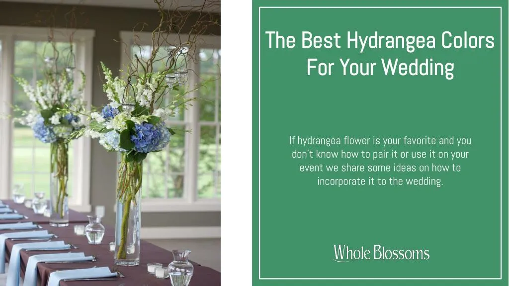 the best hydrangea colors for your wedding