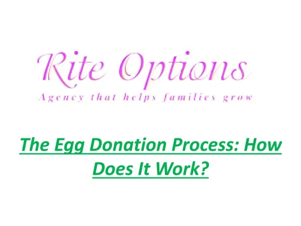 The Egg Donation Process: How Does It Work