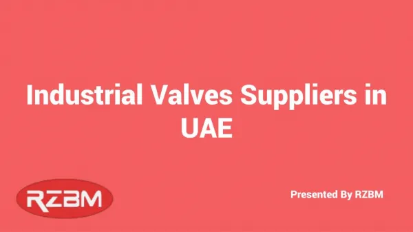 Professional Valve Suppliers in UAE | RZBM