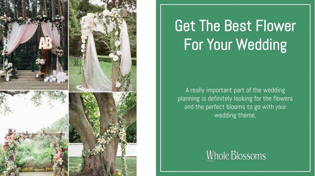 get the best flower for your wedding