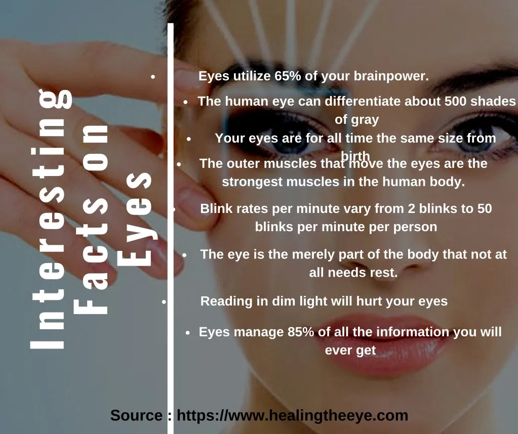 eyes utilize 65 of your brainpower