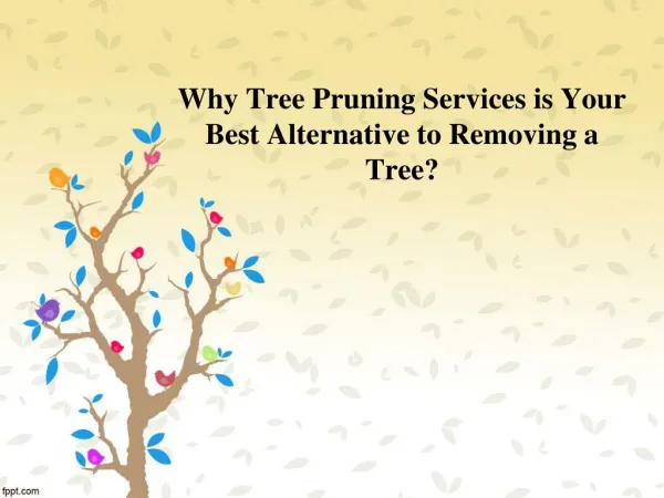 Why Tree Pruning Services is Your Best Alternative to Removing a Tree? - Northern Tree Services