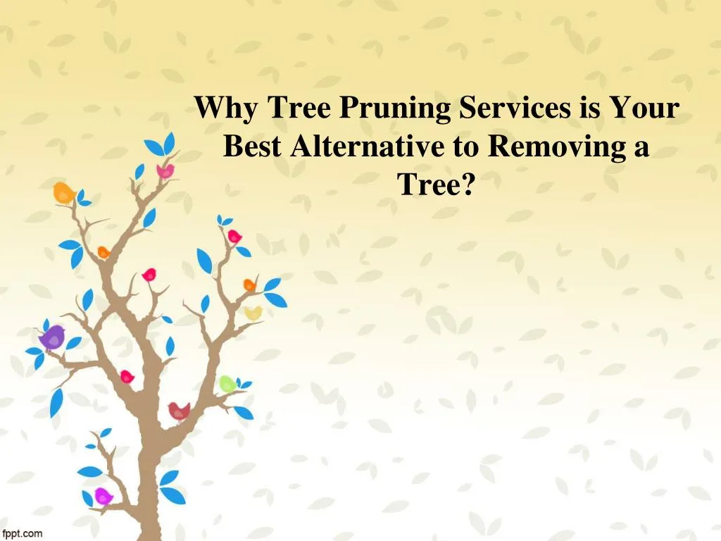 why tree pruning services is your best alternative to removing a tree