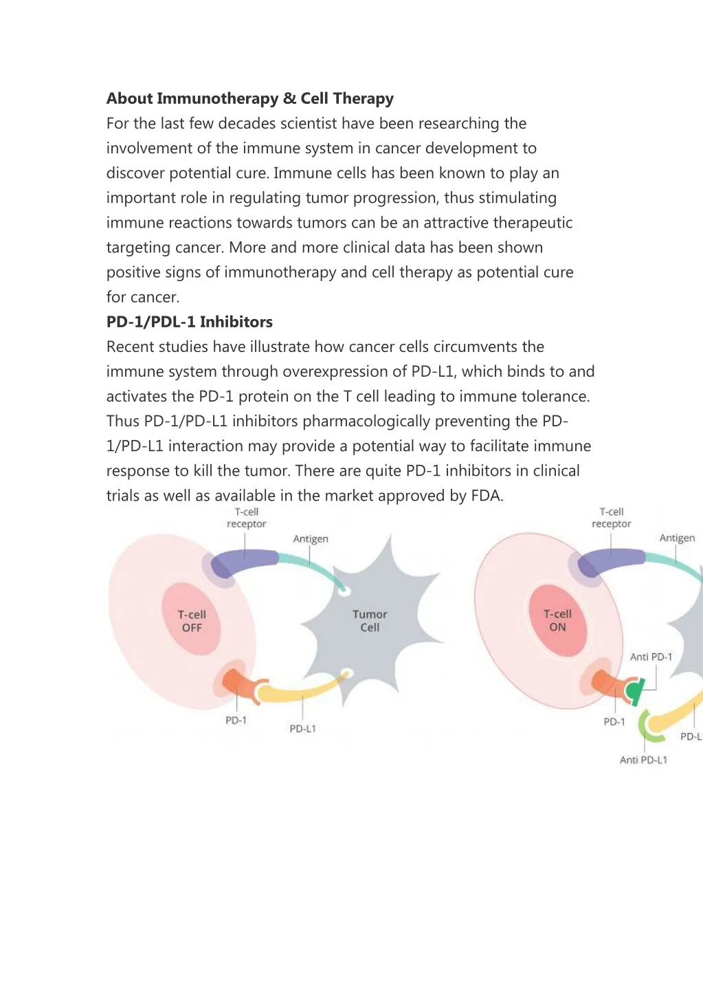 about immunotherapy cell therapy for the last