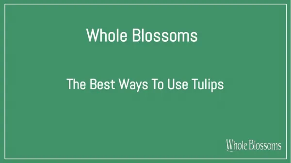Perfect Ways to use Beautiful Tulip Flowers