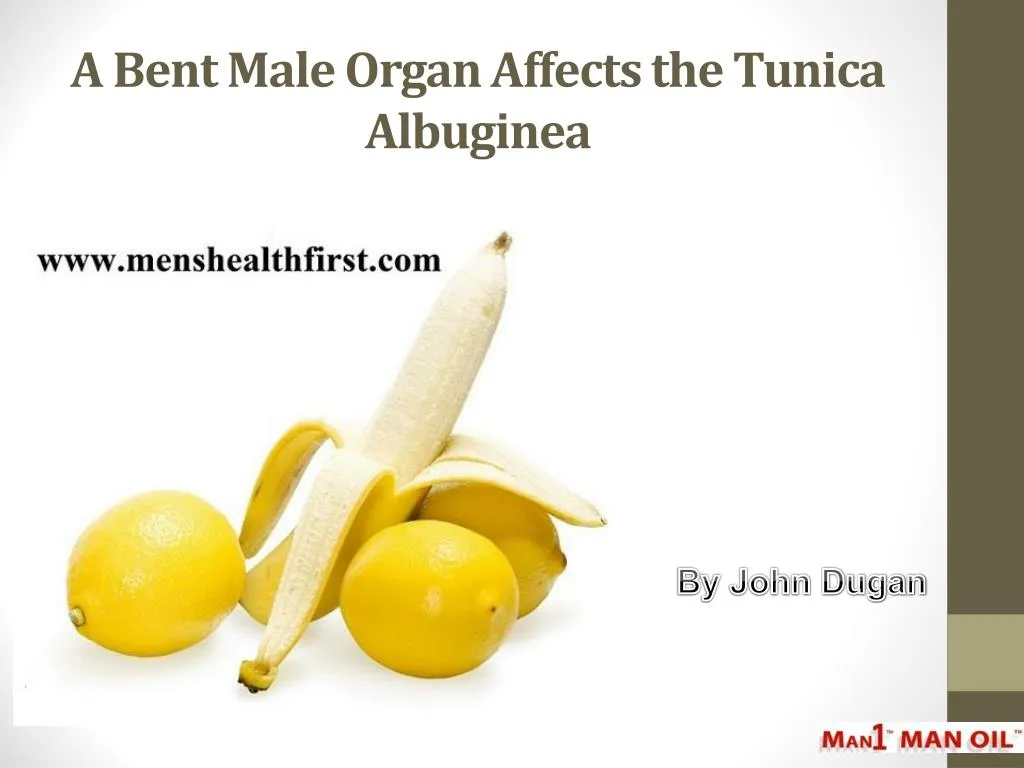 a bent male organ affects the tunica albuginea