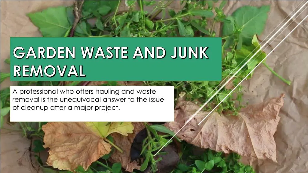garden waste and junk removal