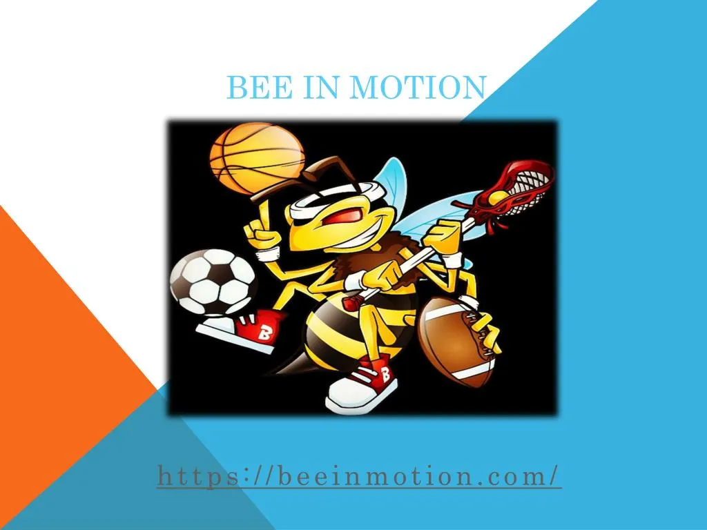 bee in motion
