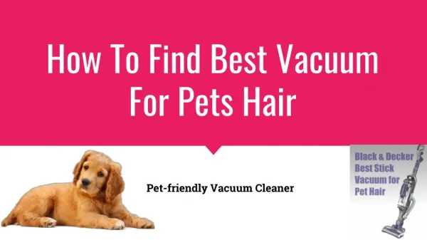 How To Find Best Vacuum For Pets Hair