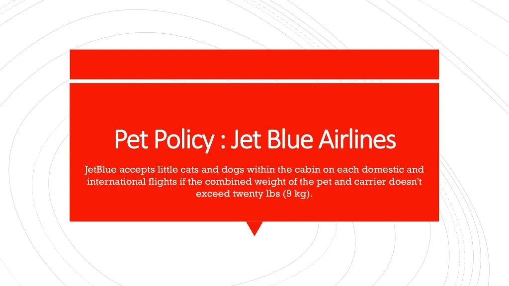 pet policy jet blue airlines