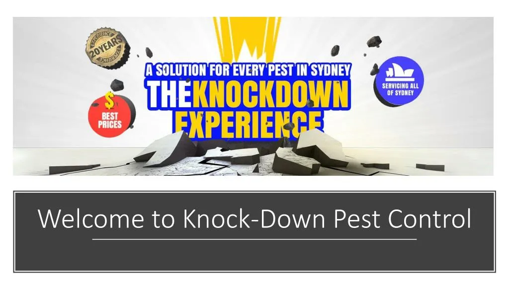 welcome to knock down pest control