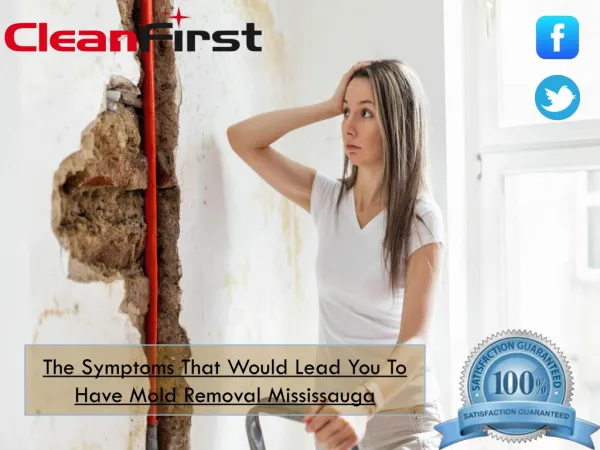 The Symptoms That Would Lead You To Have Mold Removal Mississauga