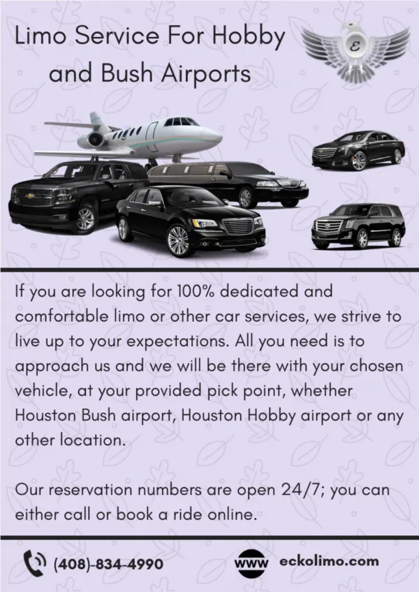 Limo Service For Hobby and Bush Airports