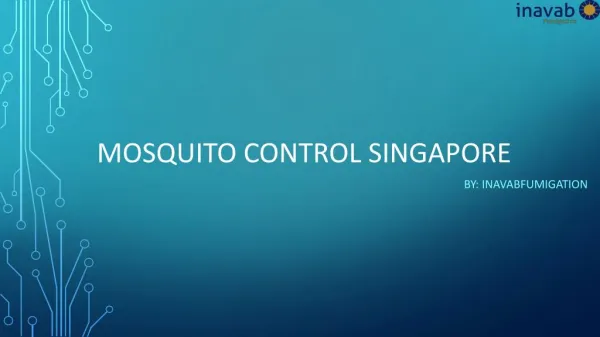 Looking for Mosquito Control Treatment in Singapore