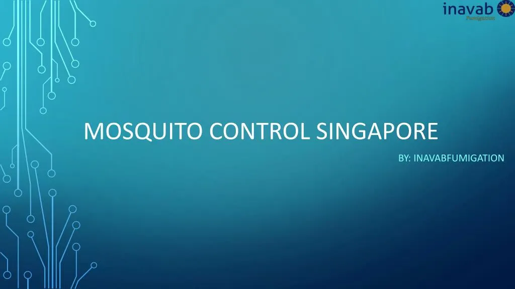 mosquito control singapore
