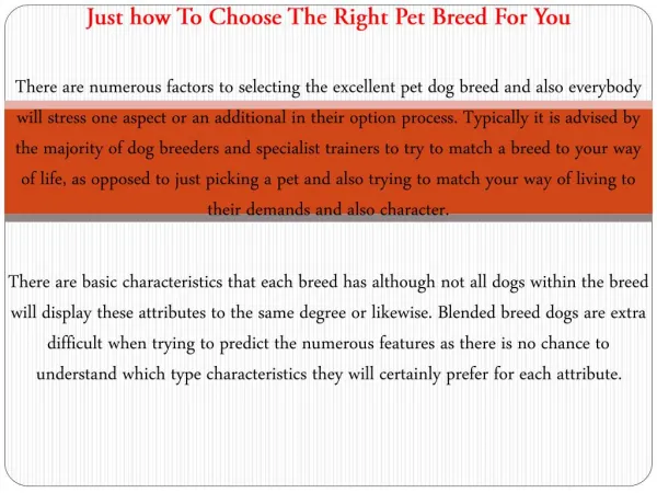Just how To Choose The Right Pet Breed For You