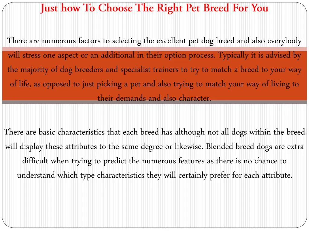 just how to choose the right pet breed