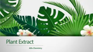 Plant Extract - slide 1