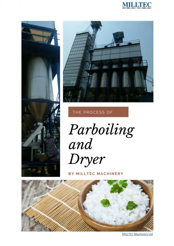 Parboiling and Dryer Systems