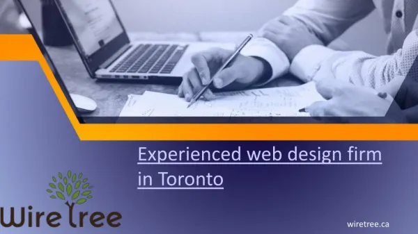 Experienced web design firm in Toronto