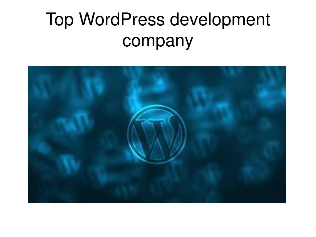 top wordpress development company