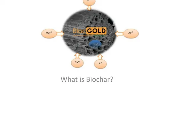 Biochar products