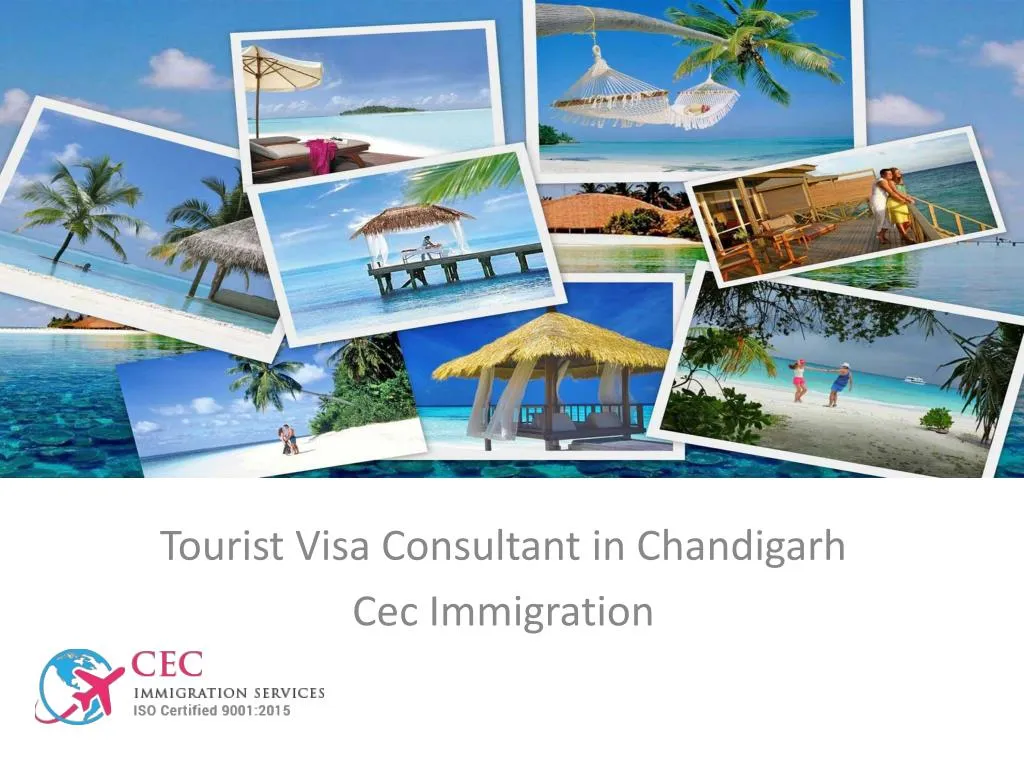tourist visa consultant in chandigarh cec immigration