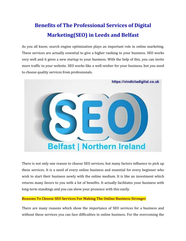Benefits of The Professional Services of Digital Marketing(SEO) in Leeds and Belfast