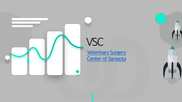 Veterinary Surgeon In FL | General Surgery Center