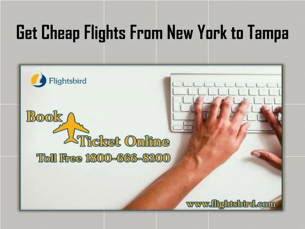 get cheap flights from new york to tampa
