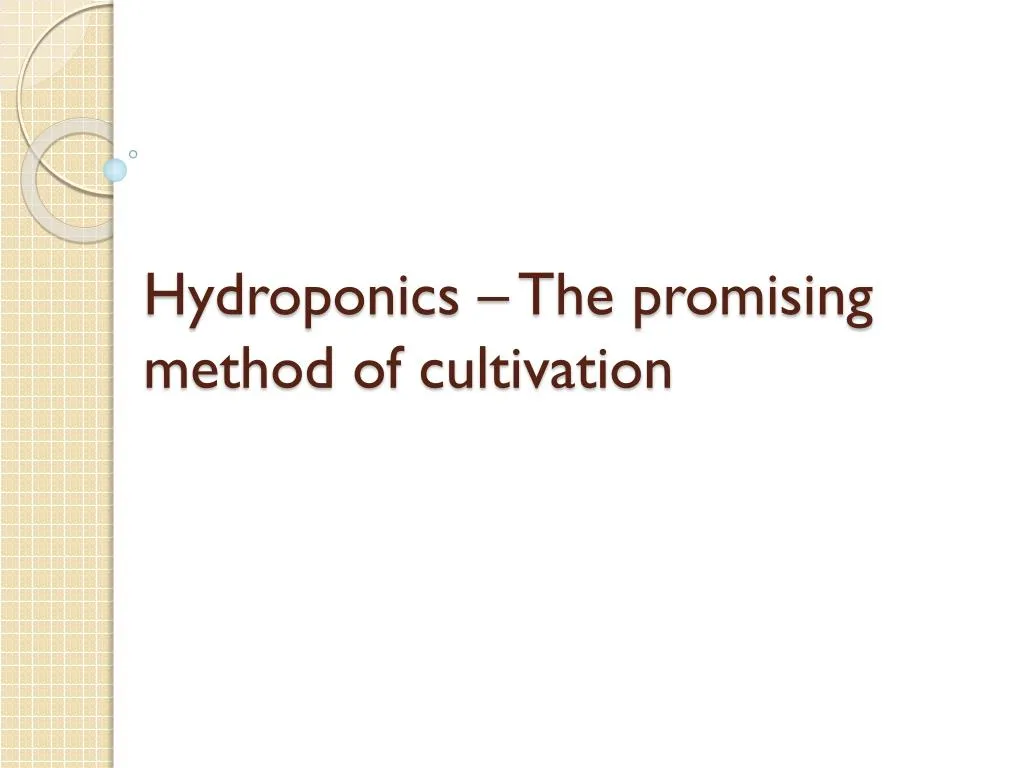 hydroponics the promising method of cultivation