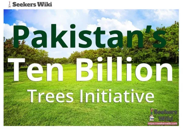 How Ten Billion Trees Initiative Will Change Pakistan’s Environment?