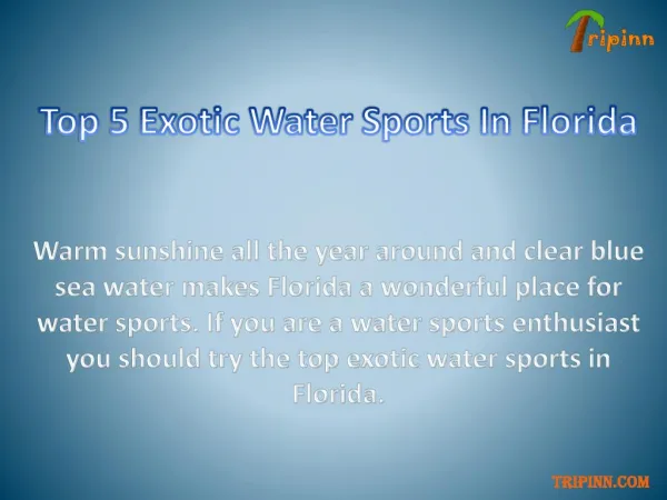 Top 5 Exotic Water Sports In Florida